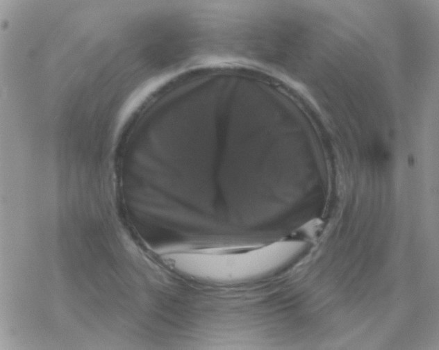 X0000077401319200611172054