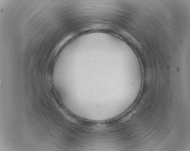 X0000077401321200611172054