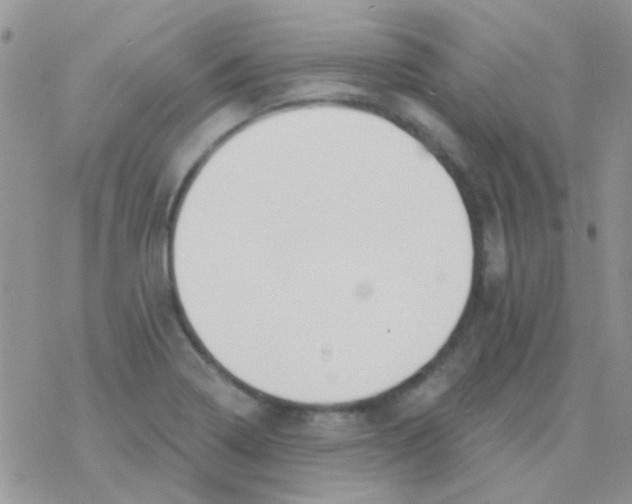 X0000077401322200611172054