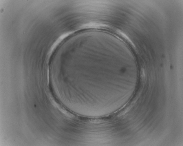 X0000077401323200611172054