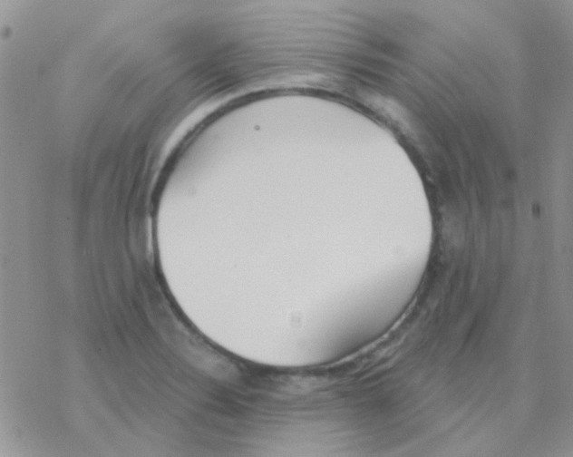 X0000077401324200611172054