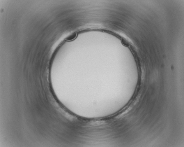 X0000077401325200611172054