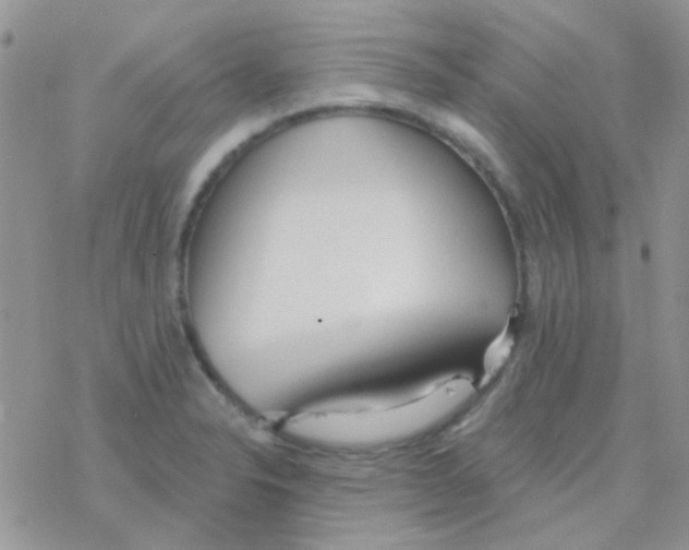 X0000077401326200611172054