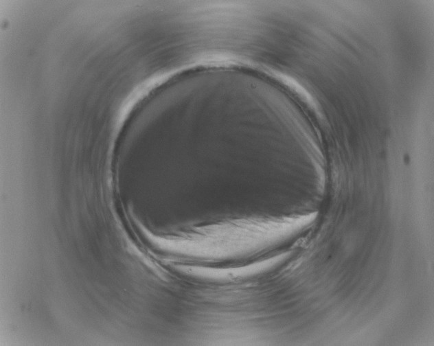 X0000077401327200611172054