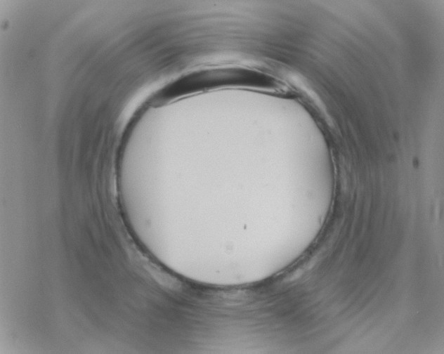 X0000077401328200611172054