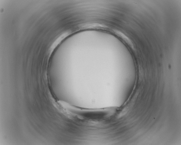 X0000077401330200611172054