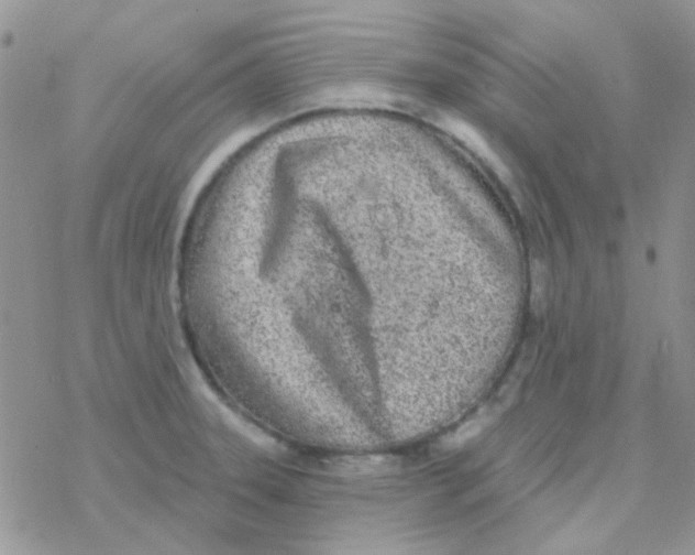 X0000077401331200611172054