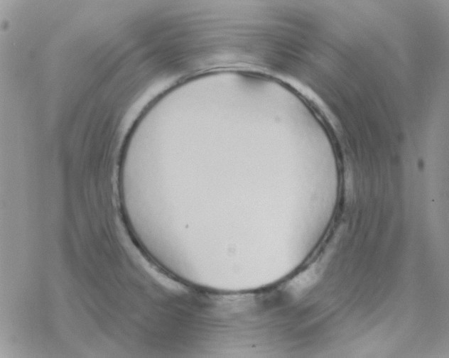 X0000077401333200611172054