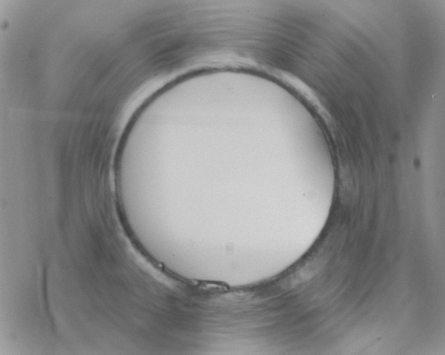 X0000077401335200611172054