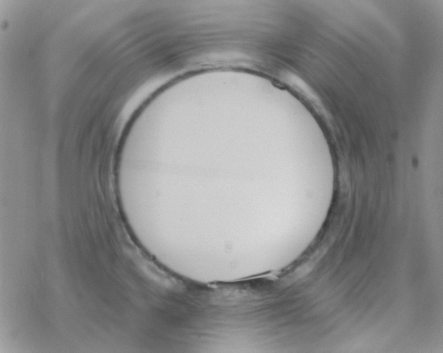 X0000077401336200611172054