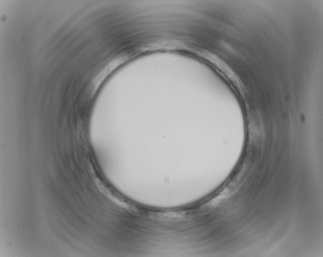 X0000077401337200611172054