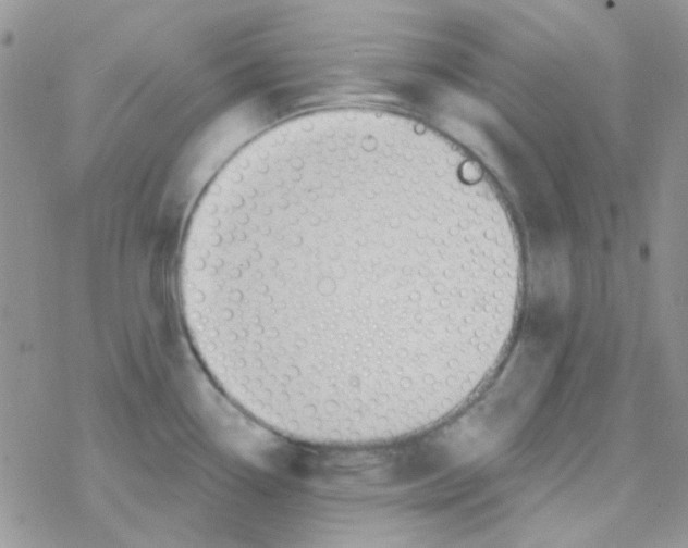 X0000077401338200611172054