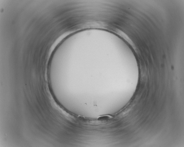 X0000077401339200611172054