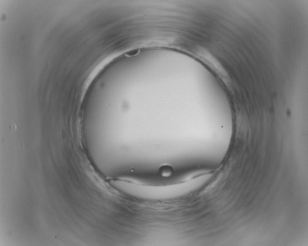 X0000077401340200611172054