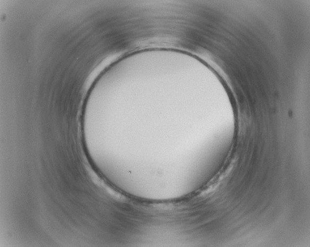 X0000077401341200611172054