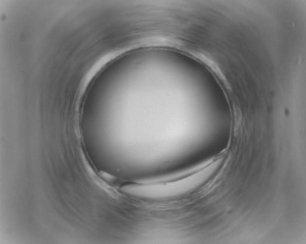 X0000077401342200611172054