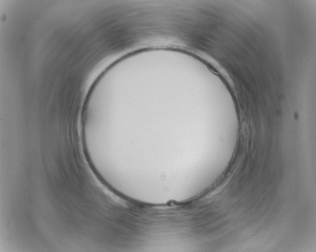 X0000077401343200611172054