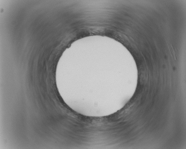 X0000077401345200611172054