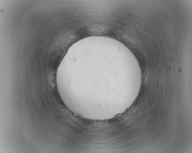 X0000077401346200611172054