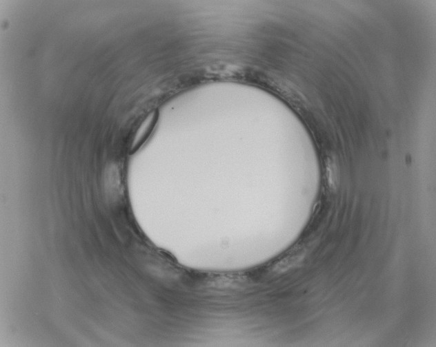 X0000077401347200611172054