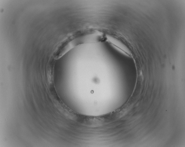 X0000077401348200611172054