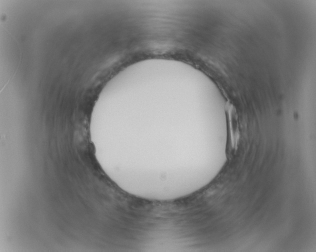 X0000077401349200611172054