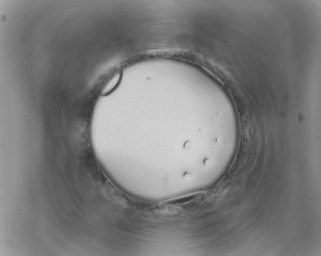 X0000077401351200611172054