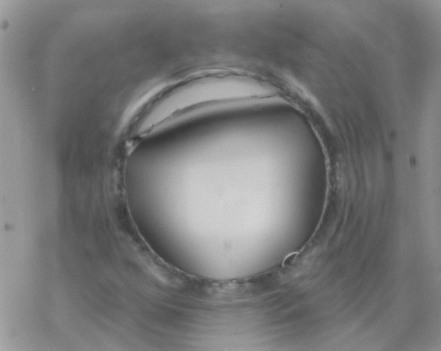 X0000077401352200611172054