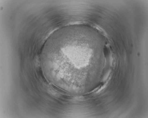 X0000077401353200611172054