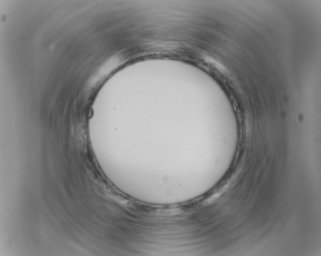 X0000077401354200611172054