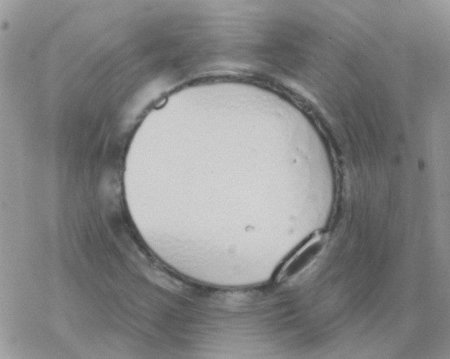 X0000077401355200611172053