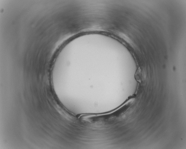 X0000077401356200611172053