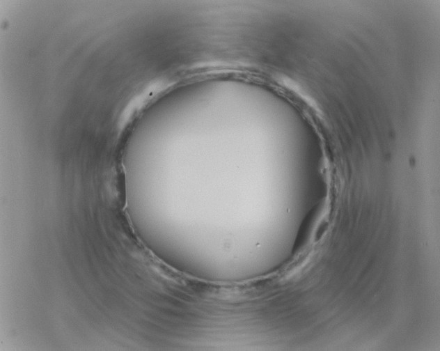 X0000077401357200611172053