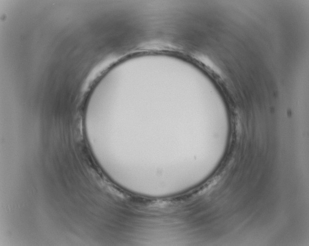 X0000077401358200611172053