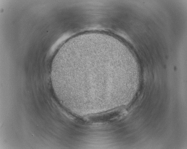 X0000077401359200611172053