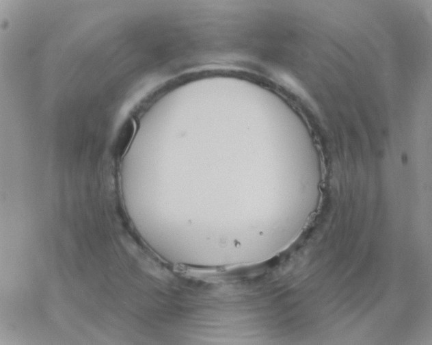 X0000077401360200611172053