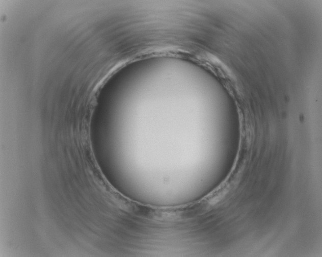 X0000077401361200611172053