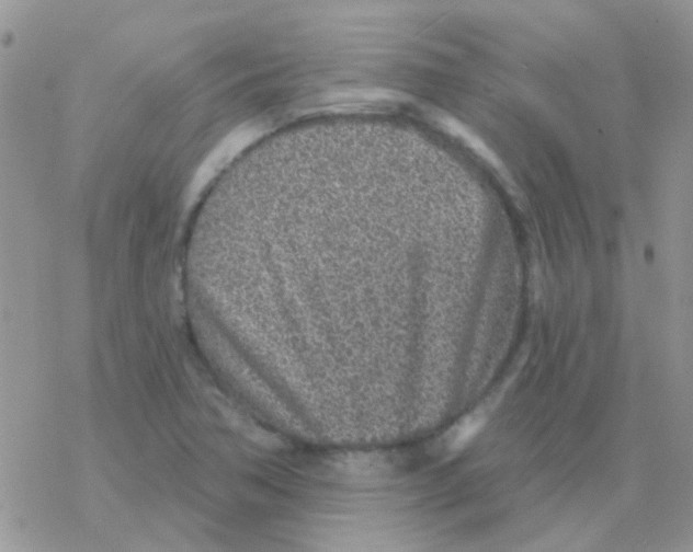 X0000077401362200611172053