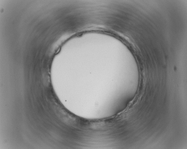 X0000077401363200611172053