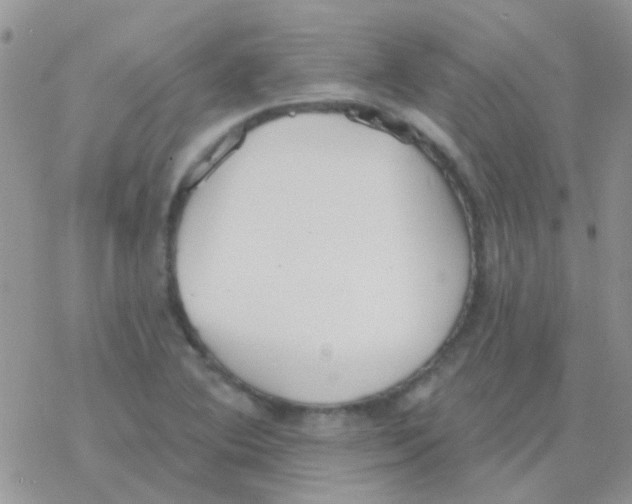 X0000077401364200611172053