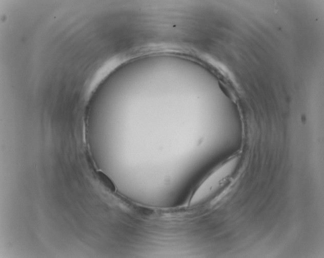 X0000077401365200611172053