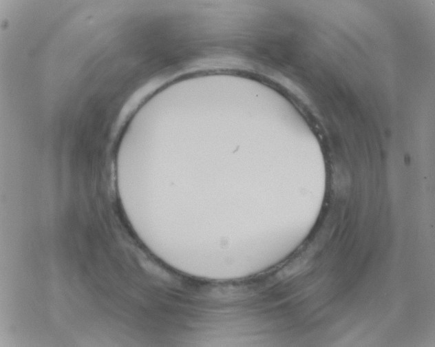 X0000077401366200611172053