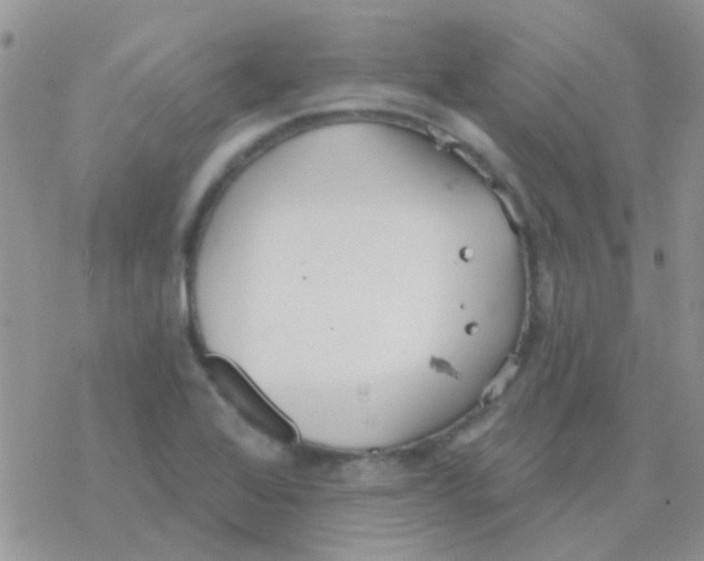 X0000077401368200611172053