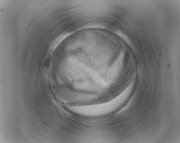 X0000077401369200611172053