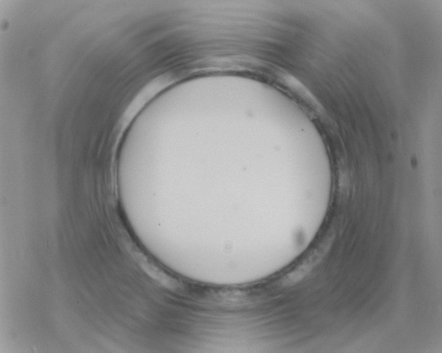 X0000077401370200611172053