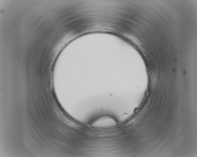 X0000077401371200611172053