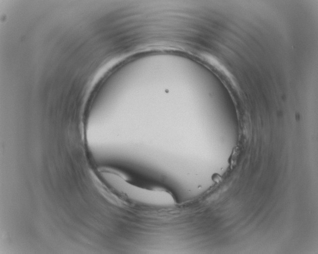 X0000077401372200611172053