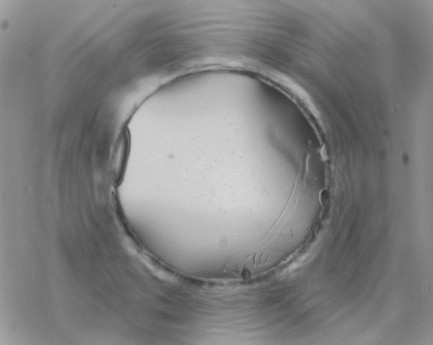 X0000077401373200611172053