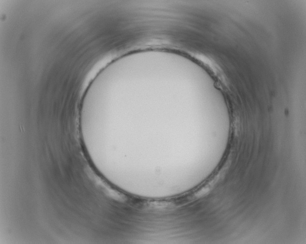 X0000077401374200611172053