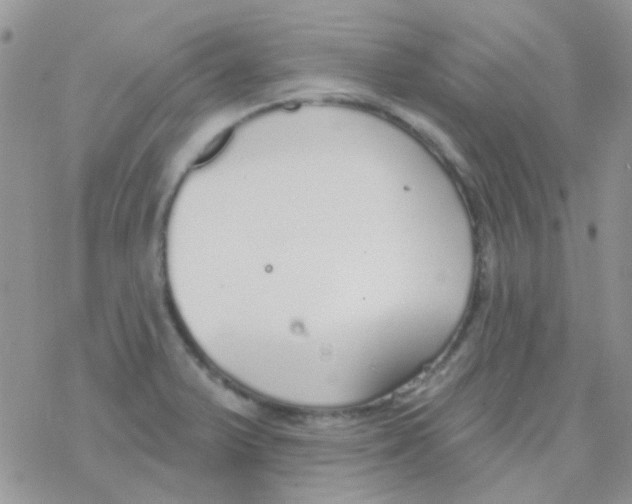 X0000077401375200611172053